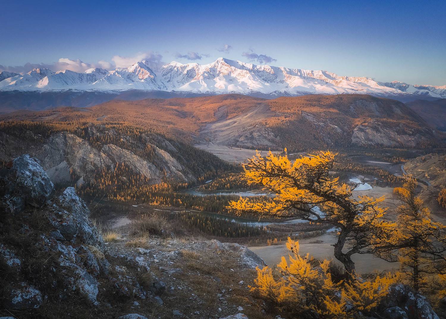 , Владимир Поляков