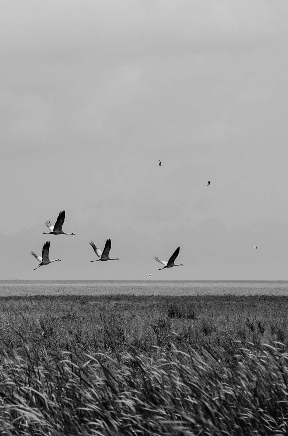 , Савенко Кирилл