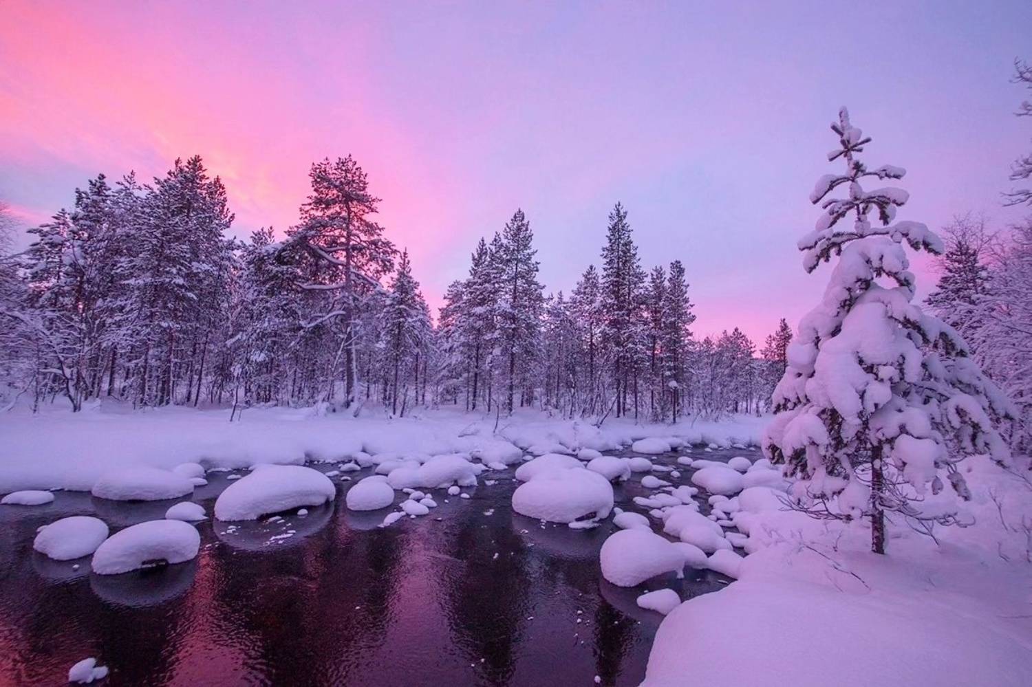 , Петр Косых