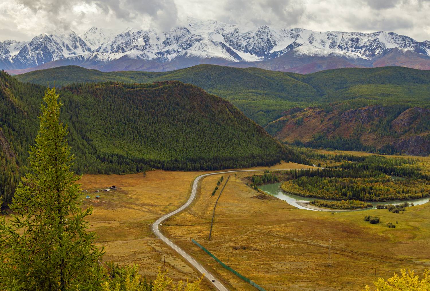 , Каверин Владимир