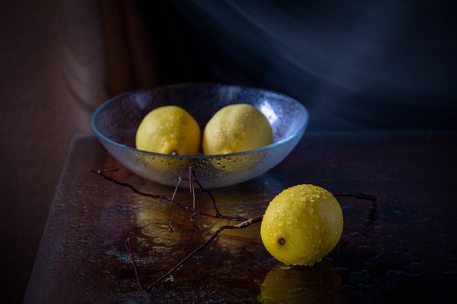 лимоны, тарелка, сухая ветка, брызги, вода, Баг Алексей