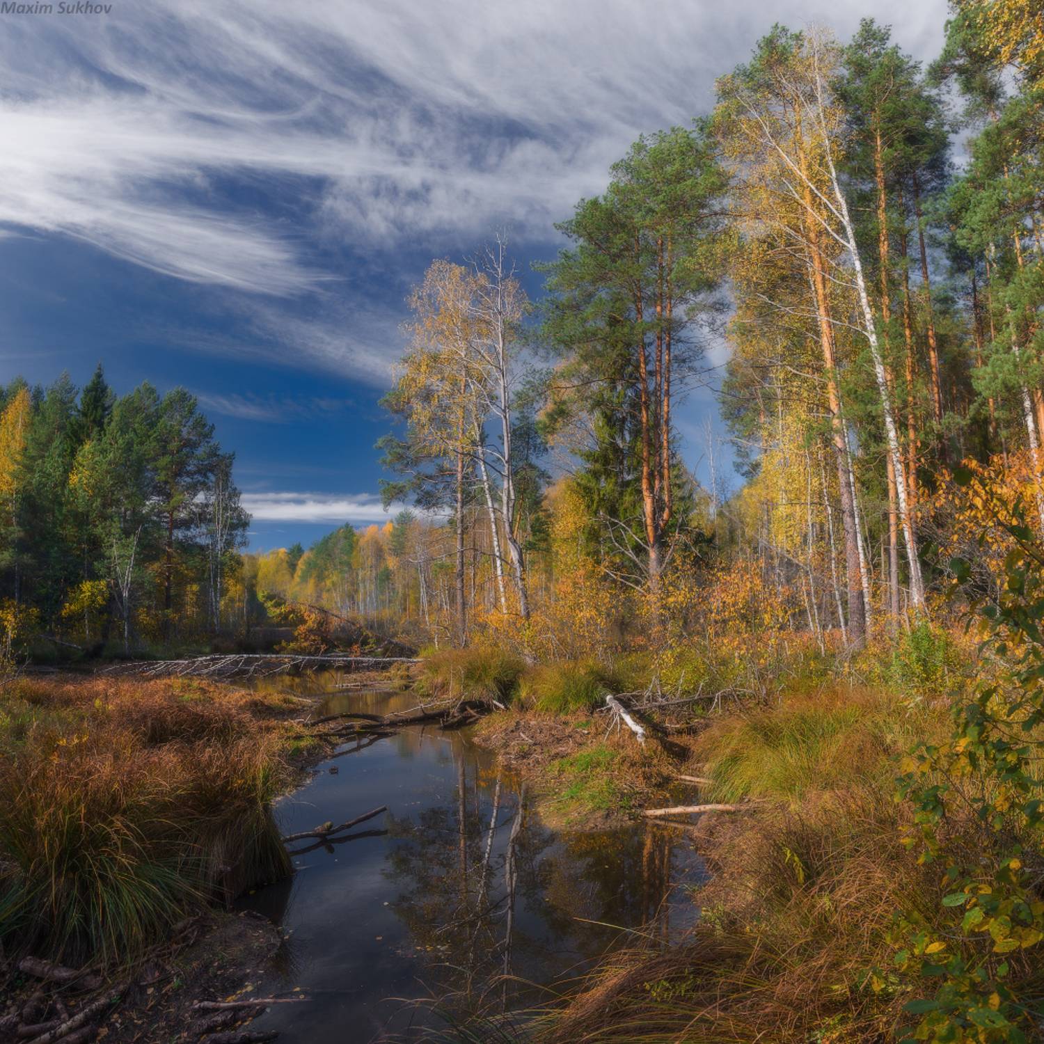 Осень, река, сосны, березы, листья, облака, пруд,, Максим Сухов