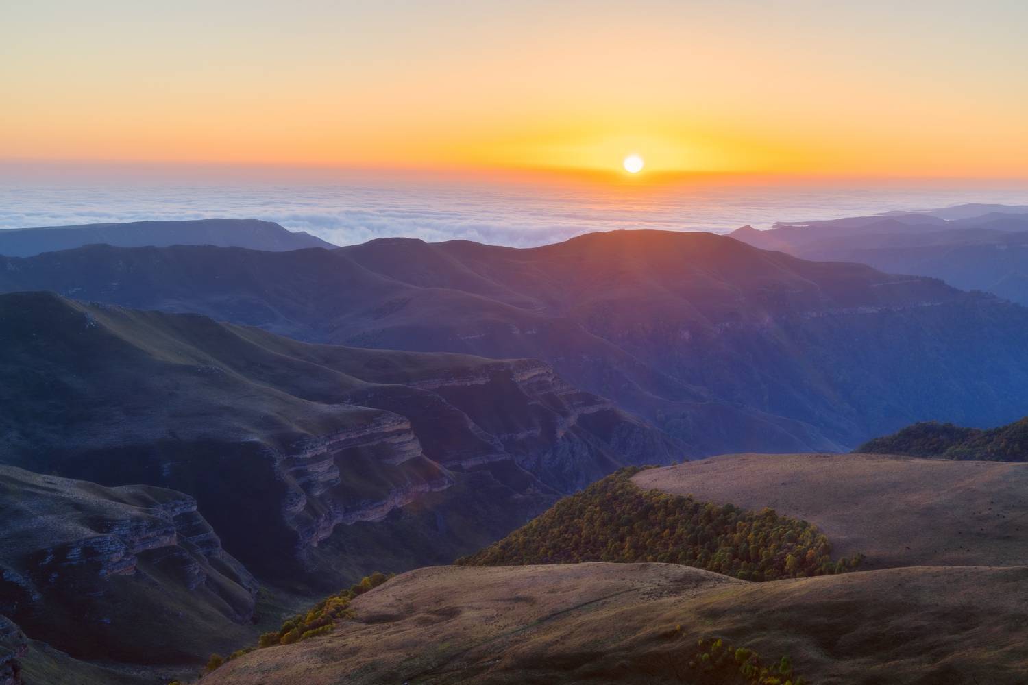 , Юлия Мальцева