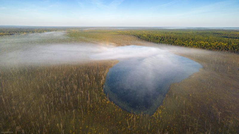пейзаж, утро, осень, рассвет, озеро, туман, север, коми, дрон, аэросъёмка Утренний туман уходит с озера Ырымвад фото превью