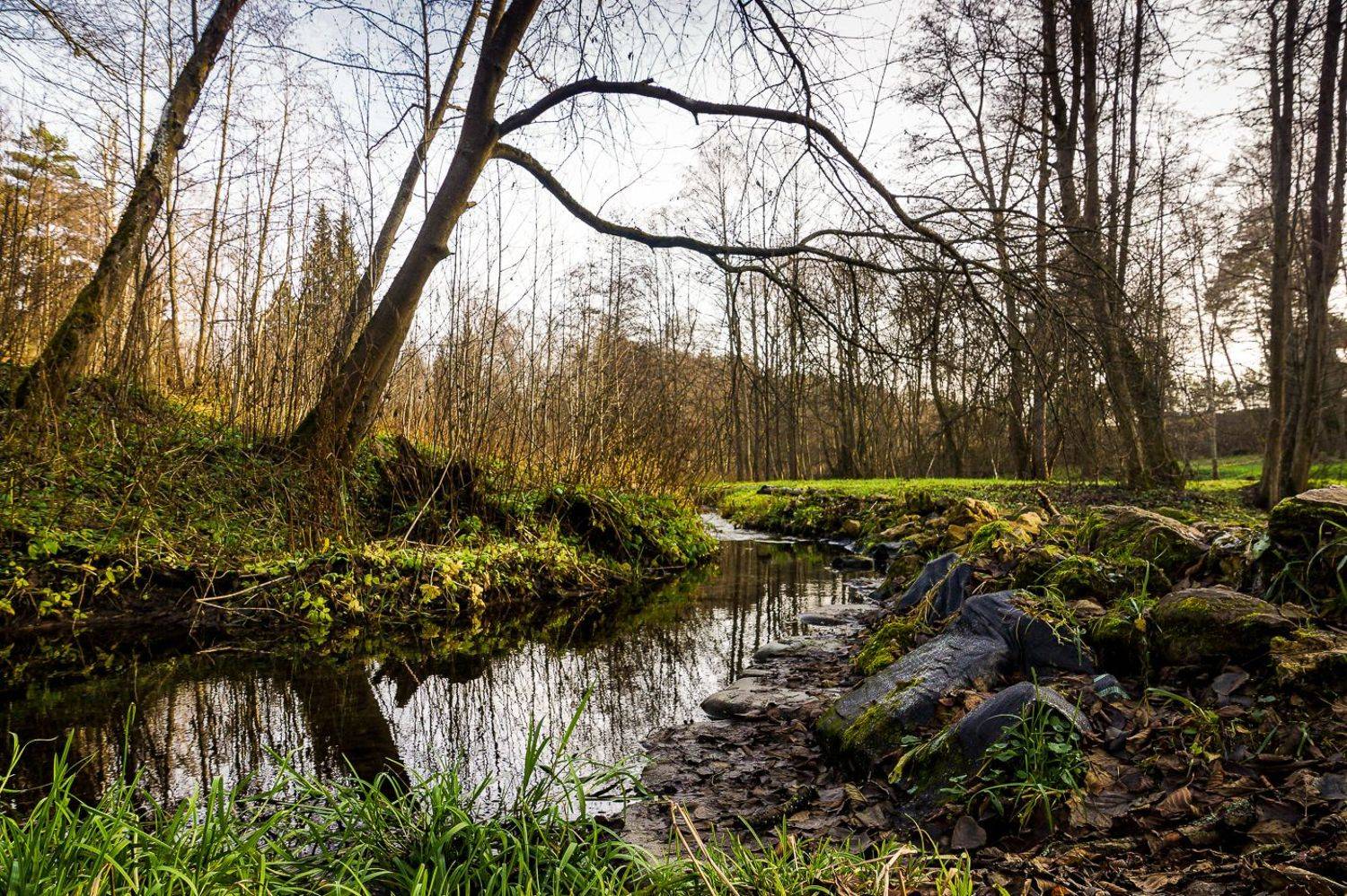 Талеж,пейзаж, Виктор Парщиков