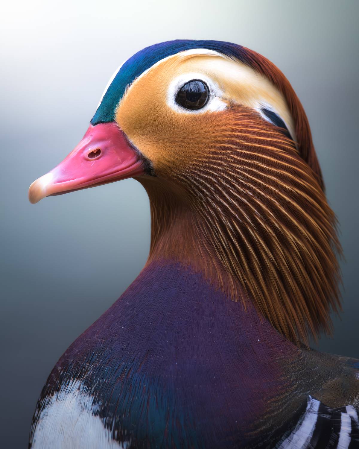 , Поляков Михаил