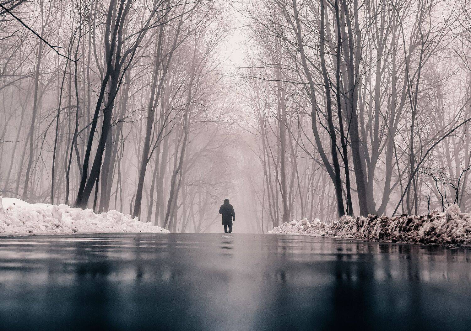 туман, лес, дорога, человек, природа, Подосинников Максим