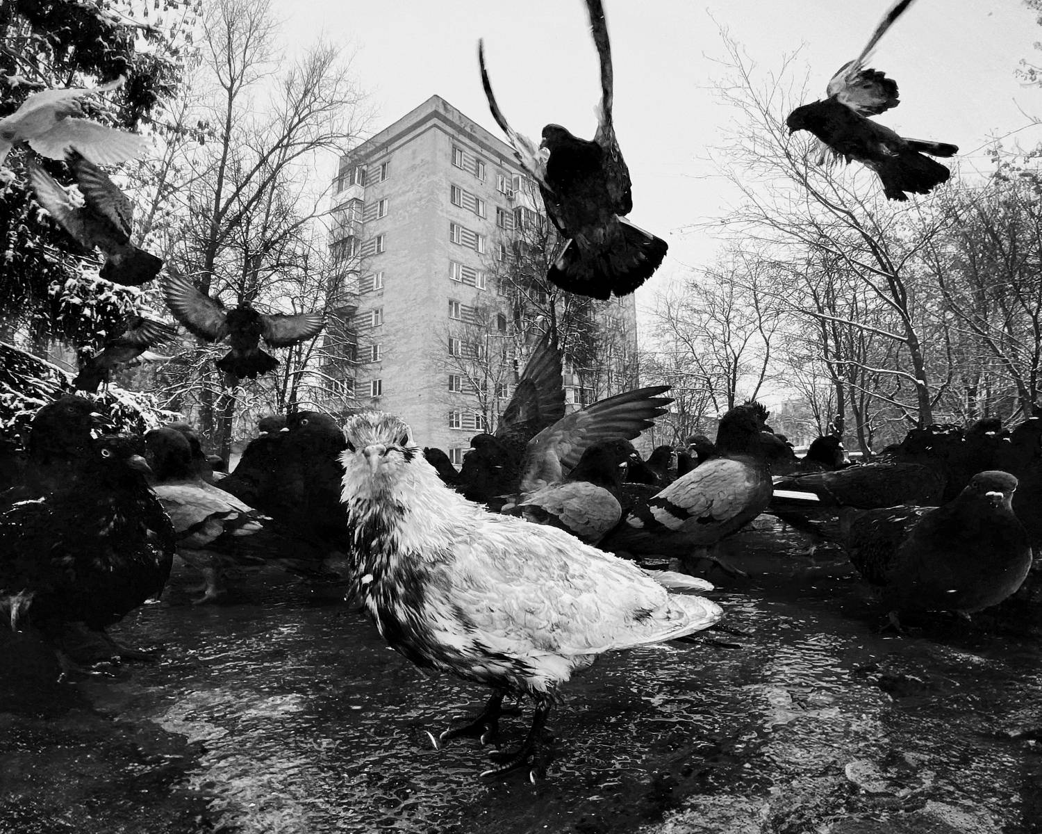 , Мартыненко Дмитрий