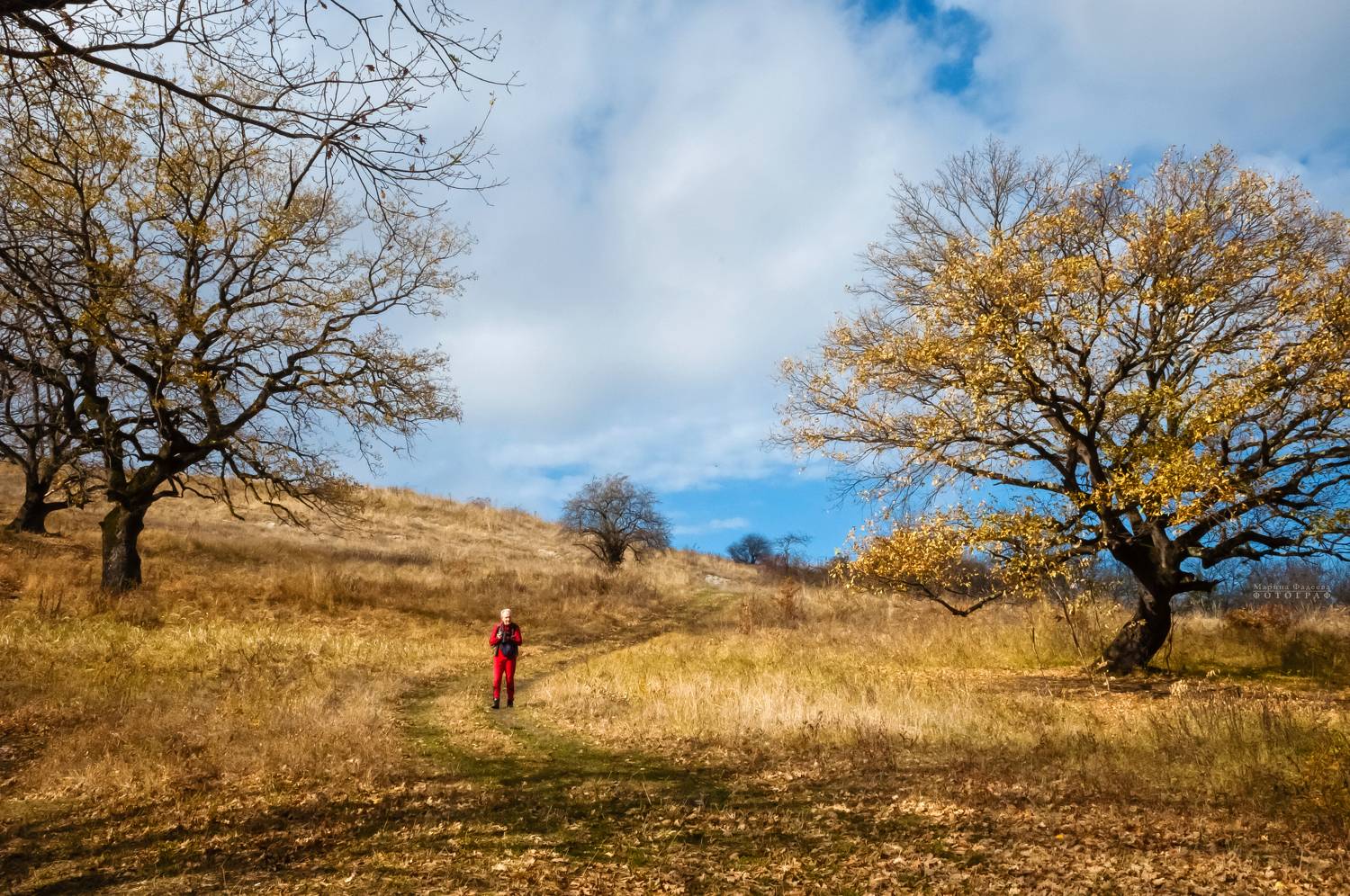пейзаж, осень, тропинка, прогулка,  Мариночка