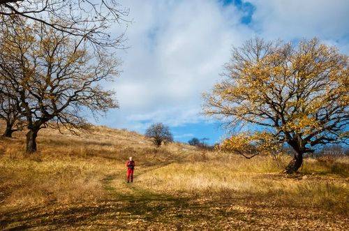 Тропинка в уходящую осень