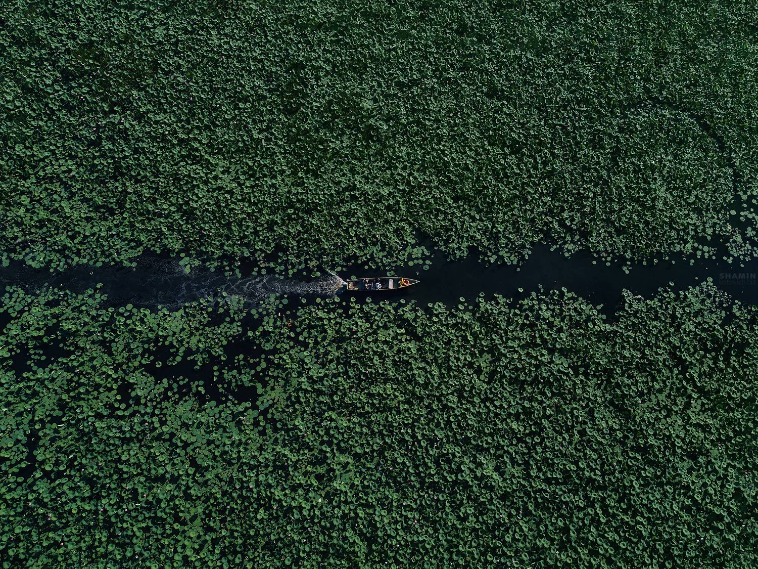 , Константин Шамин