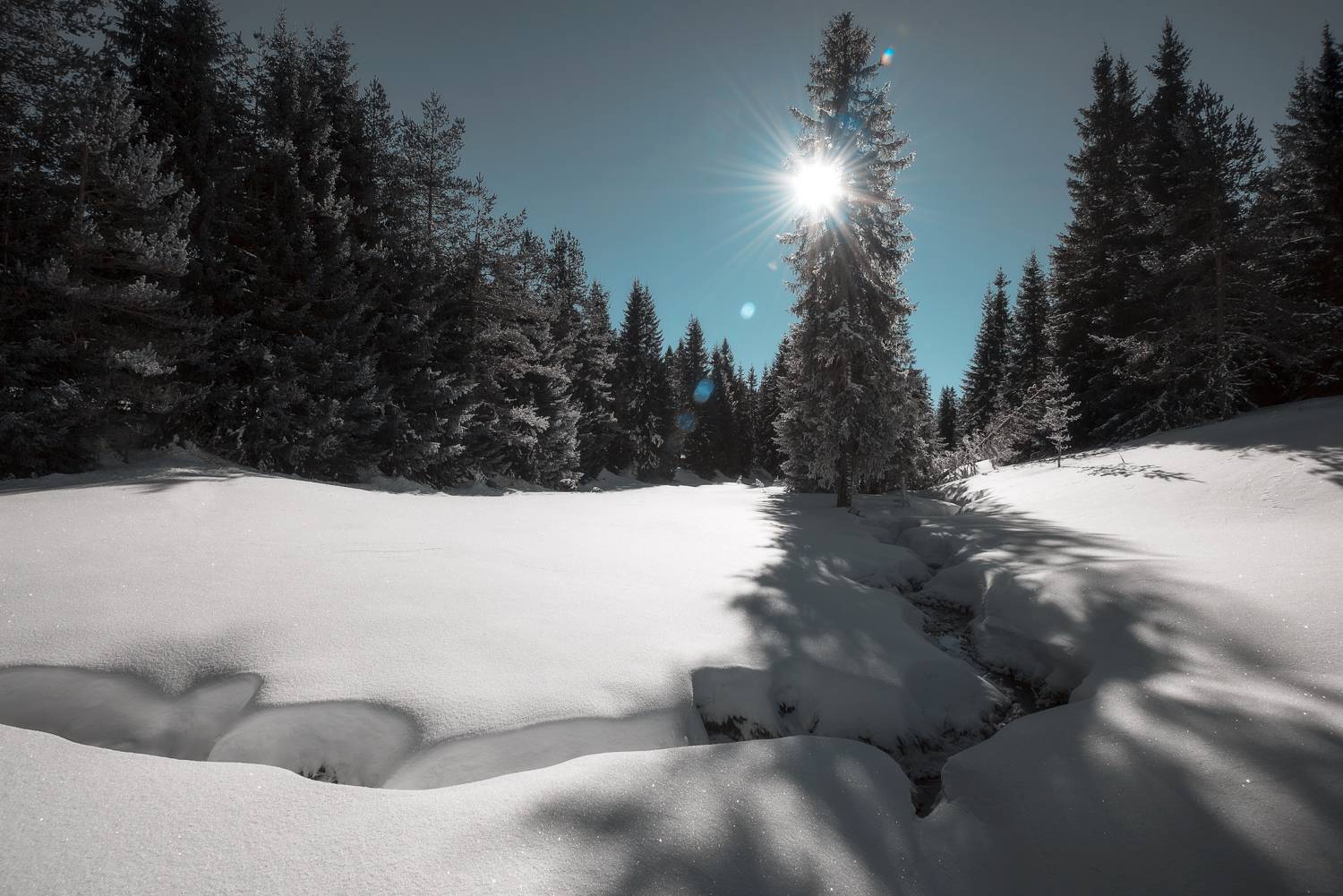 , Mariyana Atanasova - Lucero