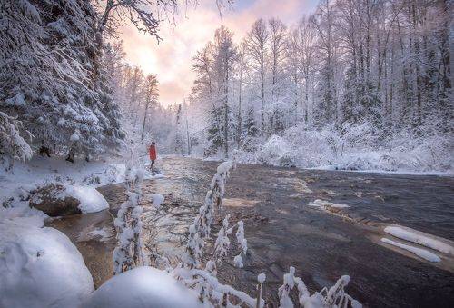 Зимняя сказка Линдуловской рощи...