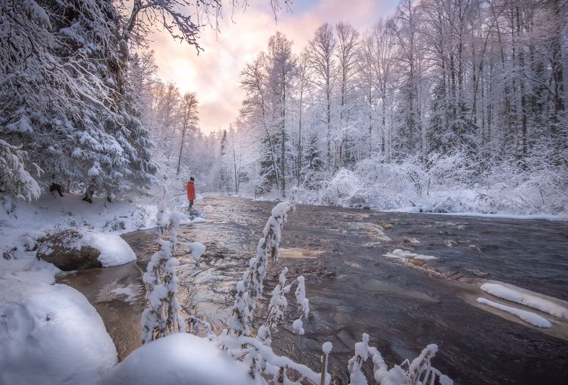 зима, лес, снег, роща, зимний пейзаж, зимний закат, река Зимняя сказка Линдуловской рощи... фото превью