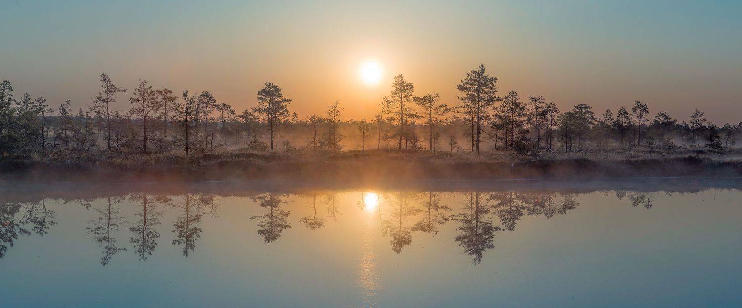#estonia, #estoniabogs, #nature_of_estonia, #naturephotography, #naturelovers, #sunrise_sunset_photogroup, #sunriseoftheday, #foggymorning, #foggy, #goldenlight, #goldensunrise, #bog, #bogsofestonia, #k&otilde;nnusuursoo, #hikingtrails, #goldenhour, #goldengram,, Nikolai Mordan