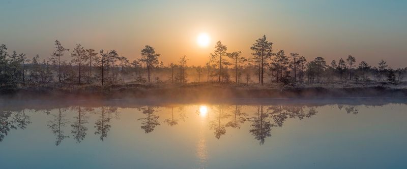 #estonia, #estoniabogs, #nature_of_estonia, #naturephotography, #naturelovers, #sunrise_sunset_photogroup, #sunriseoftheday, #foggymorning, #foggy, #goldenlight, #goldensunrise, #bog, #bogsofestonia, #kõnnusuursoo, #hikingtrails, #goldenhour, #goldengram, --- фото превью