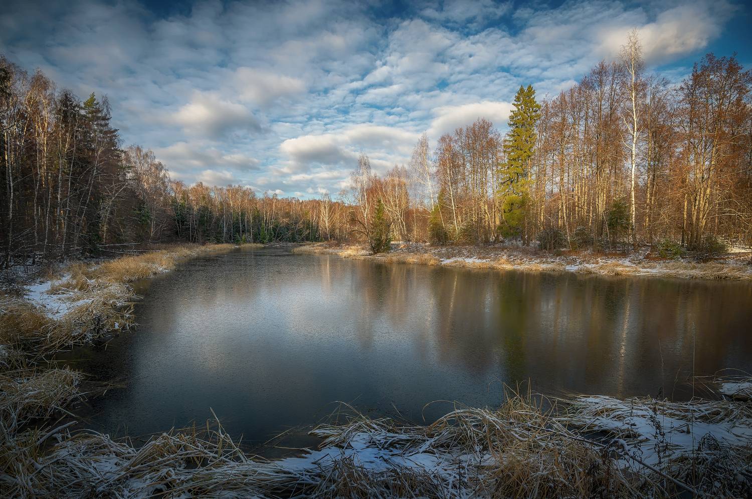река,осень, ноябрь, лес, Сергей Аникин