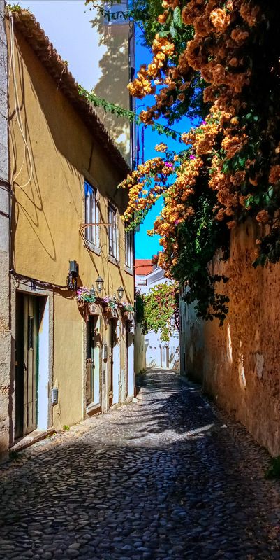 Lisboa фото превью