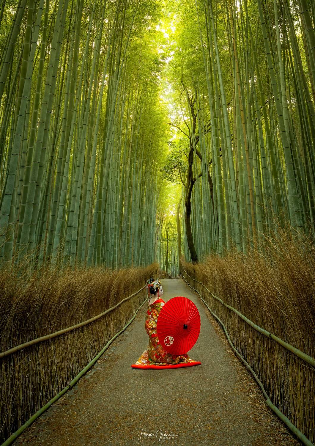 #kyoto #japan #autumn #arashiyama, Hasan Jakaria