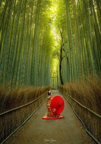 [ Arashiyama Bamboo Forest ]