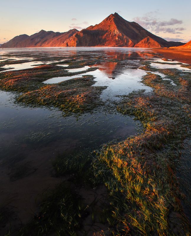 Отлив утренний фото превью