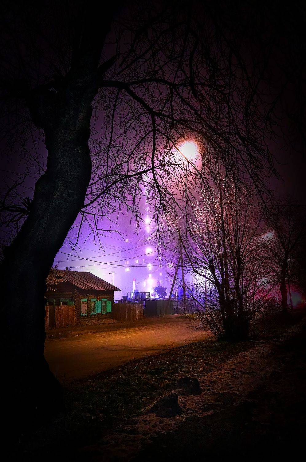 , Наталья Новикова