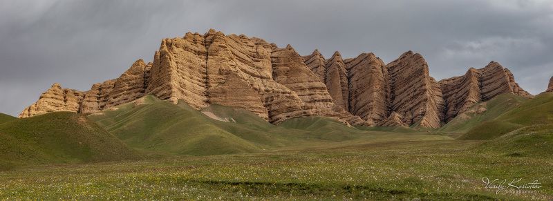 * * * фото превью