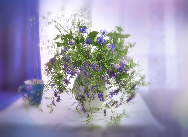 лето васильки, лиана,кружка,синий *** фото превью