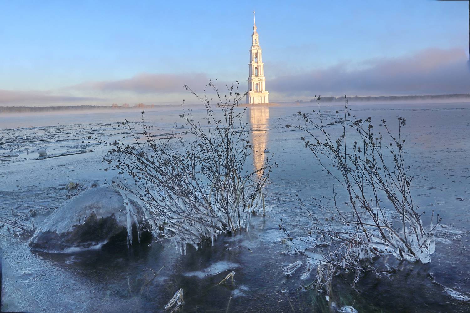 , Добролюбова Тамара