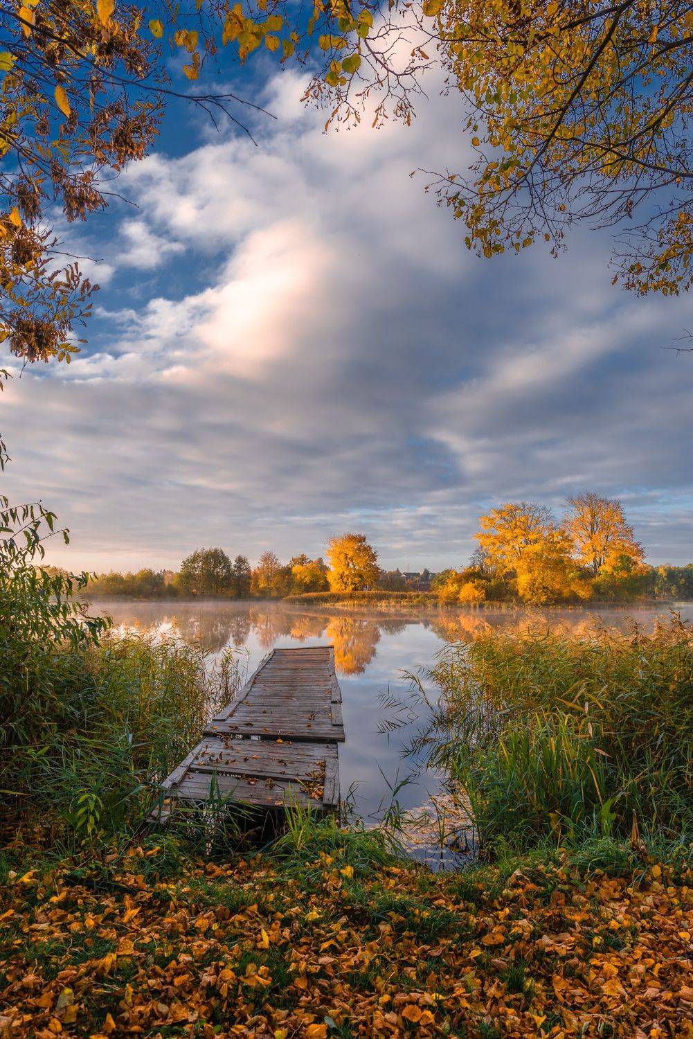 , Руслан Авдевич