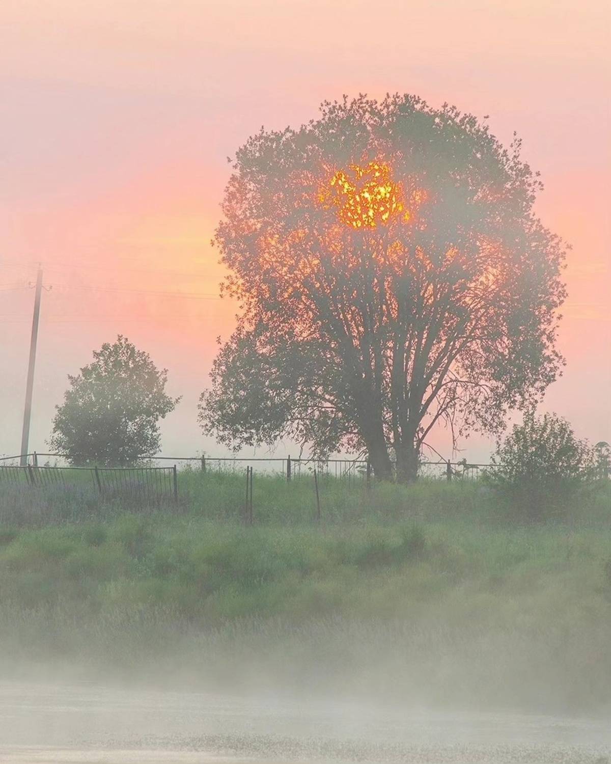 , Петр Косых