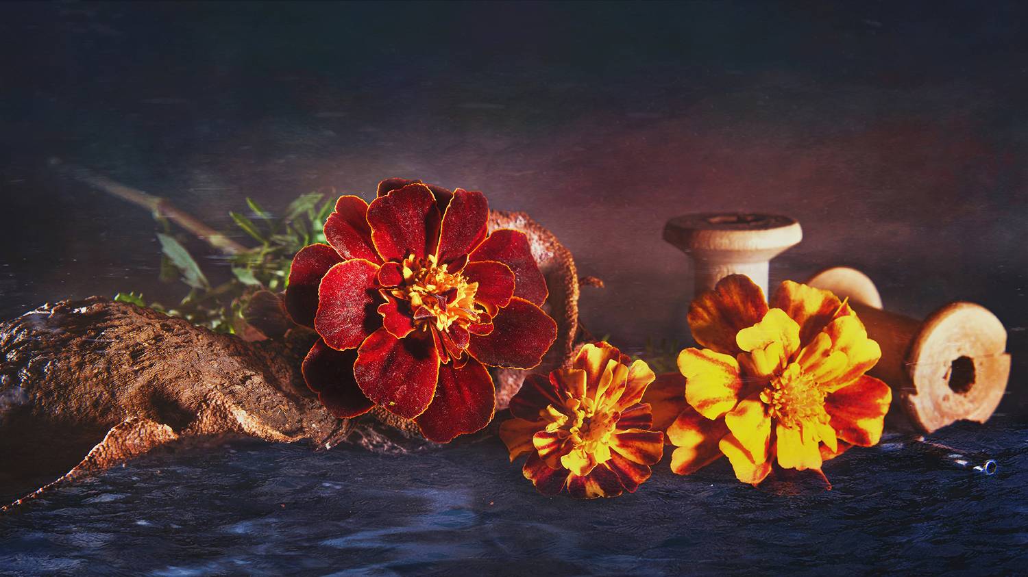 , MVO (Марк Орлов)