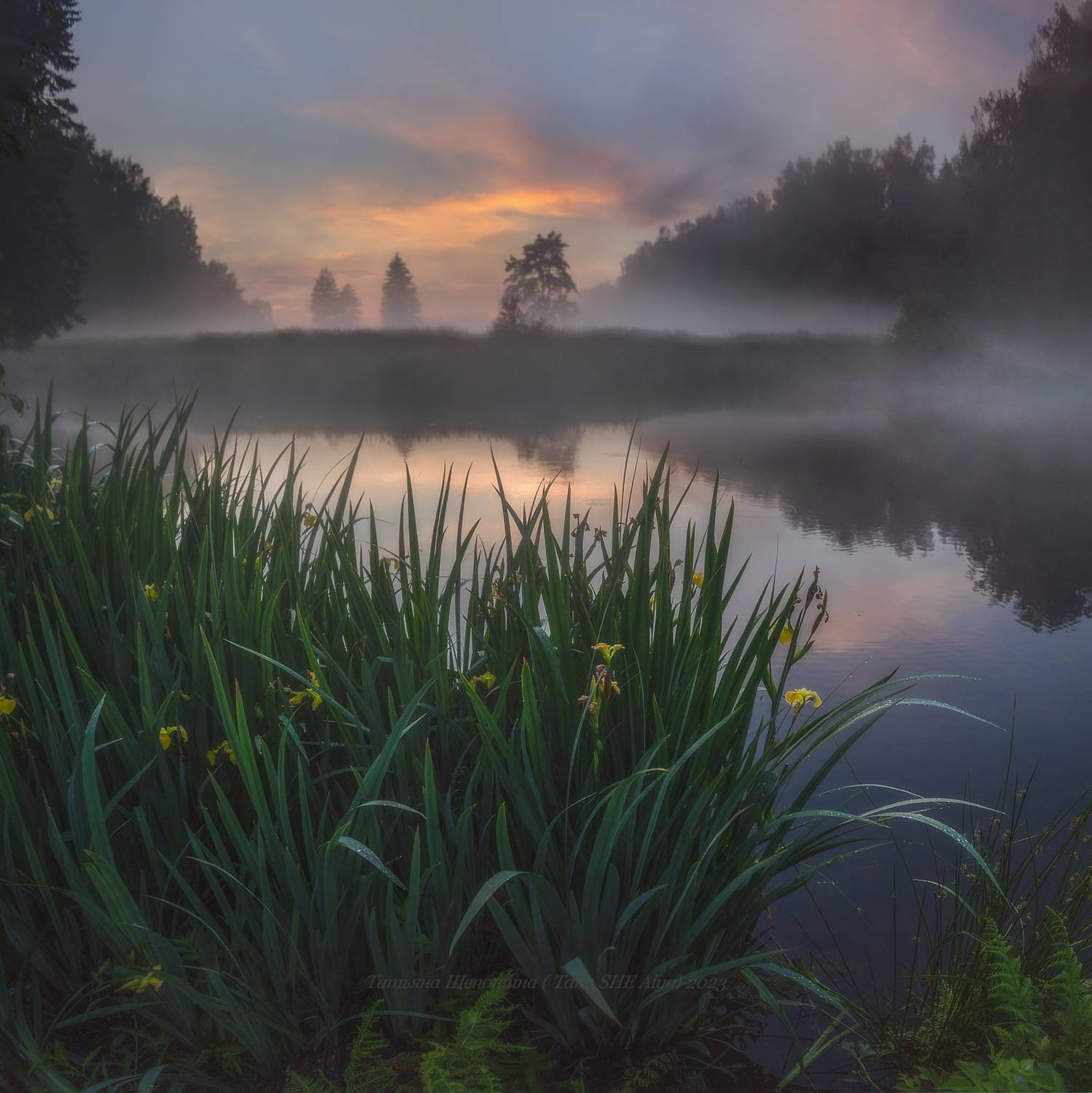 павловск, павловский, павловский парк, пейзаж, царскоесело, царское, landscape, tsarskoyeselo, санкт-петербург, туман, Щепотина Татьяна