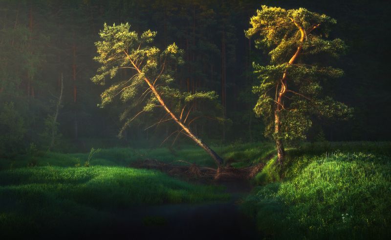 Утро фото превью