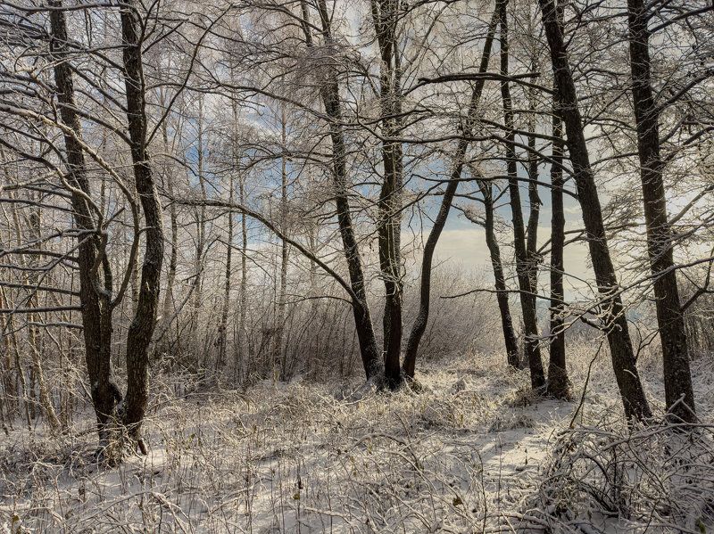 Первый снег фото превью