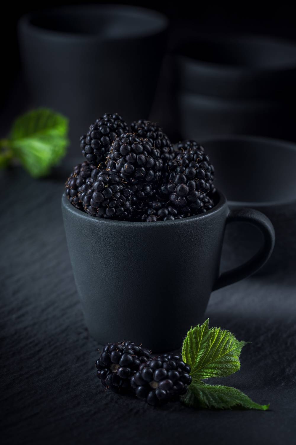 ягоды, ежевика, флора, blackberry, ЯR Ольга