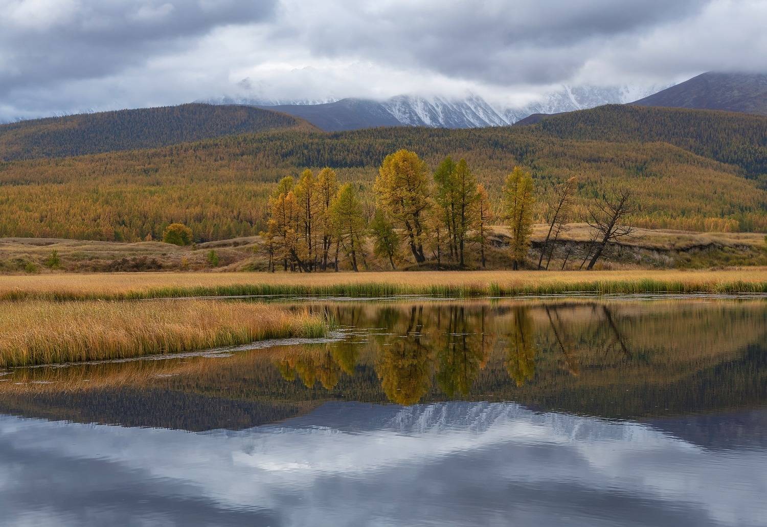 озеро джангысколь, алтай 2023, , осень, ,, Фомина Марина