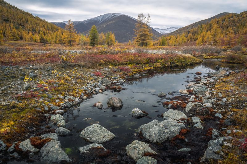 Тёмные воды фото превью