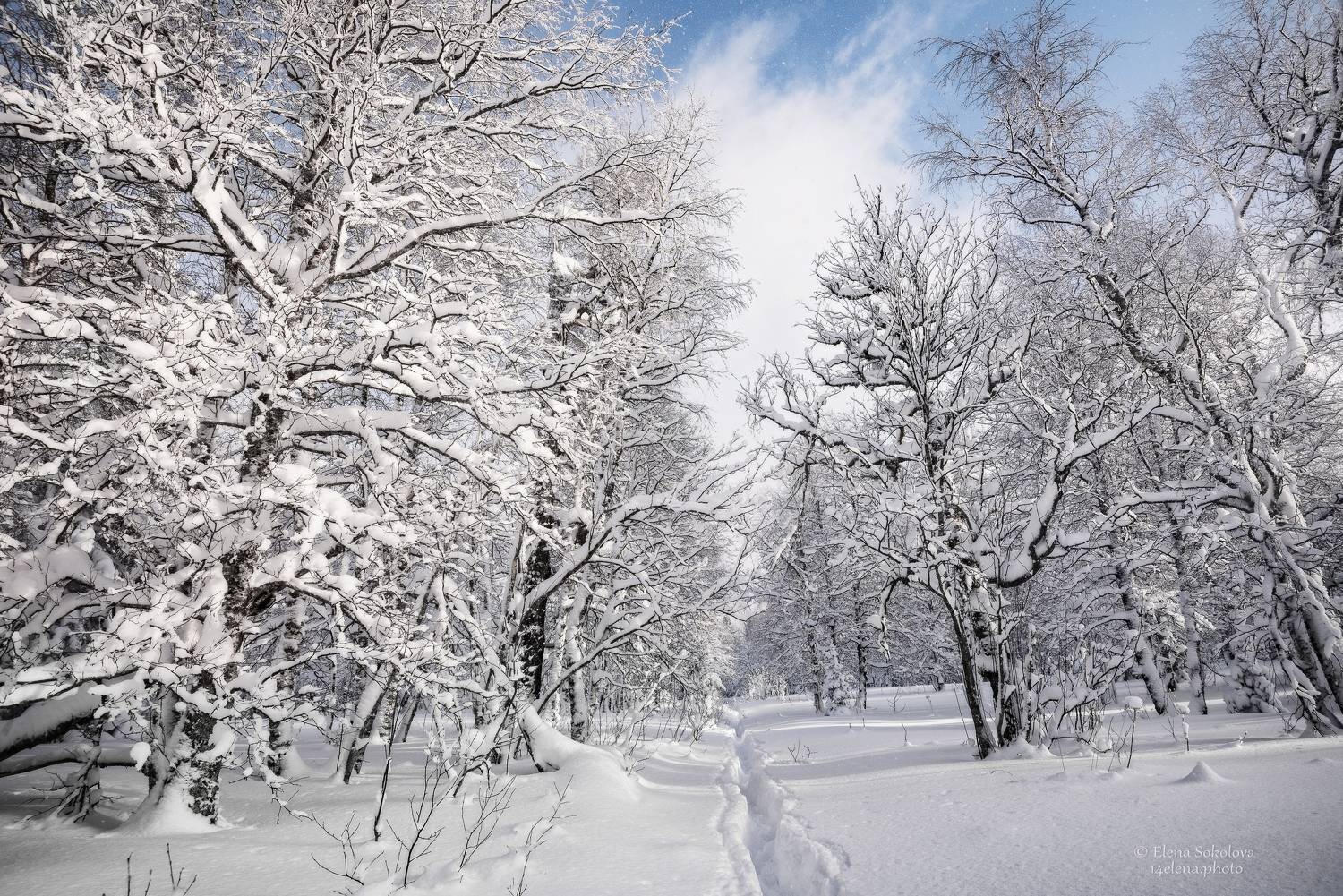 уван, снег, зима, челябинская область, Соколова Елена