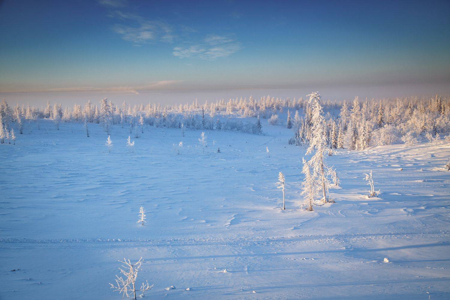 , Евгений Кужилев