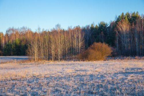 В утренних лучах