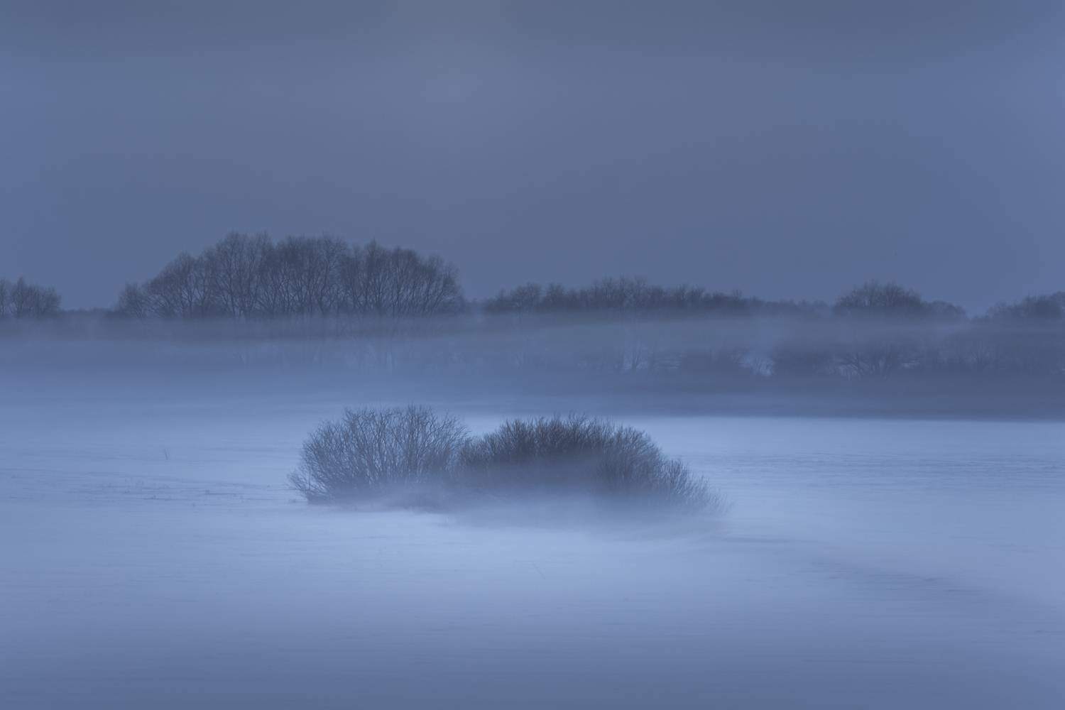 новгородская, область, Роман Фабричный