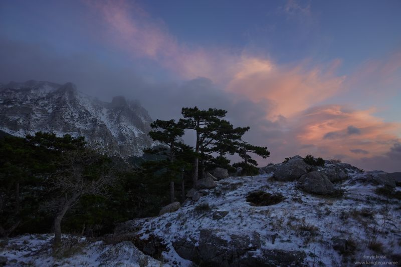 пезажемагьё, пейзаж-как-виденье В Мире пуха Предрассветья фото превью