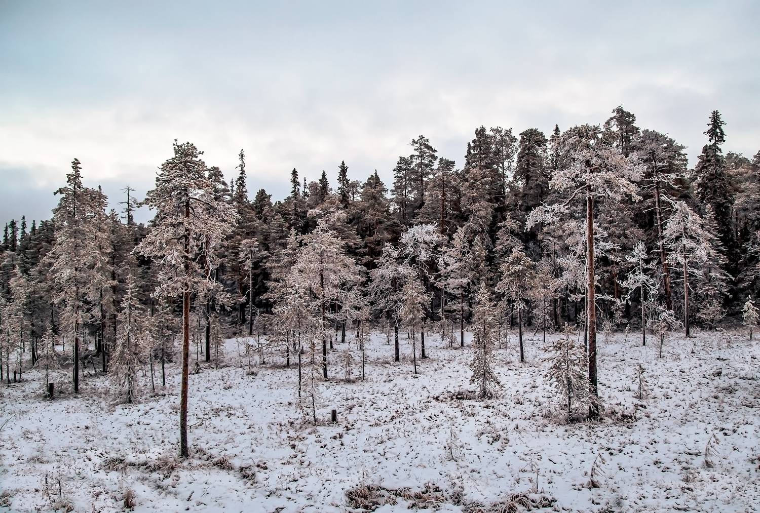 кольский п-в., Бирюков Вячеслав