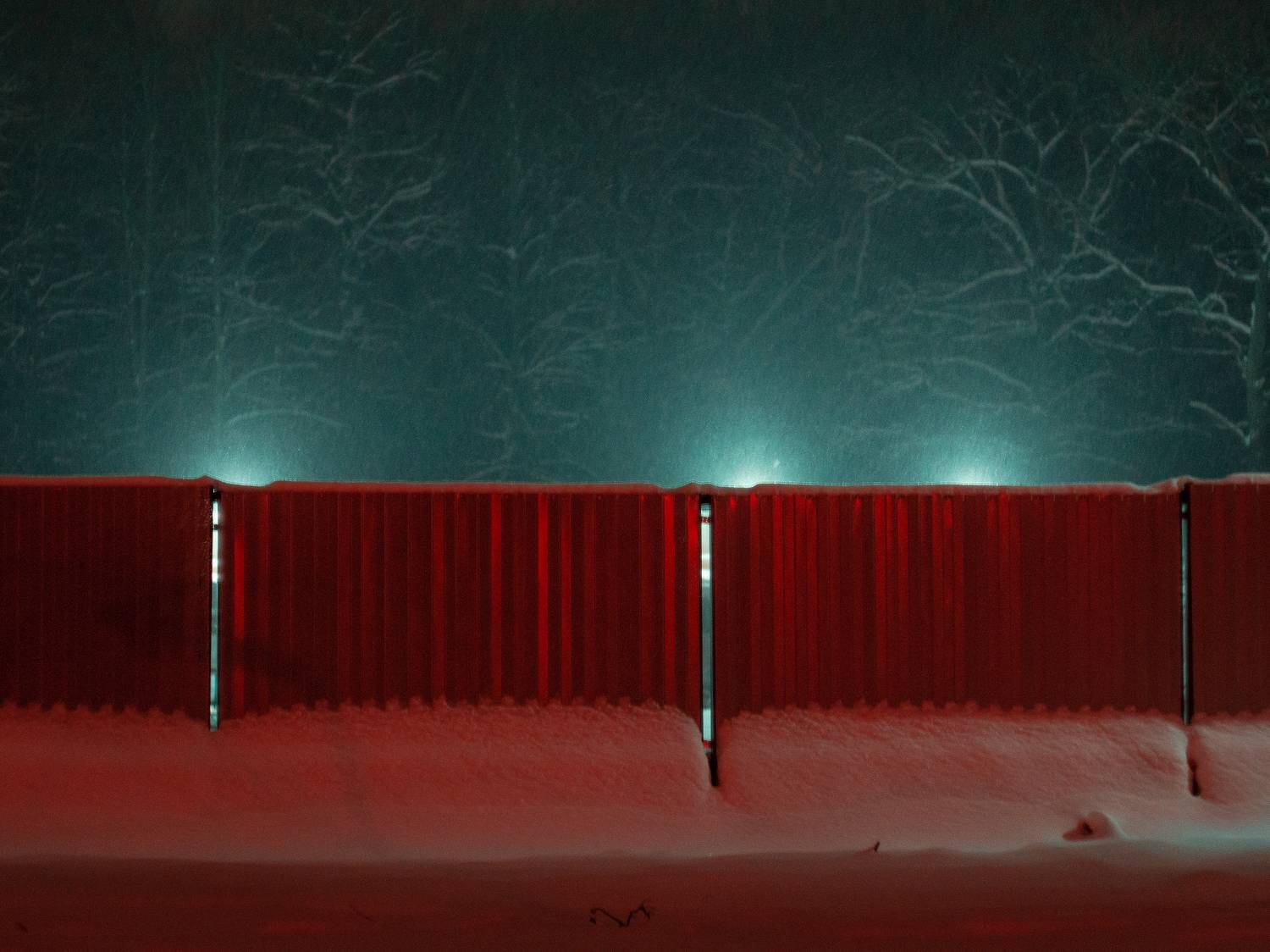 , Мартыненко Дмитрий