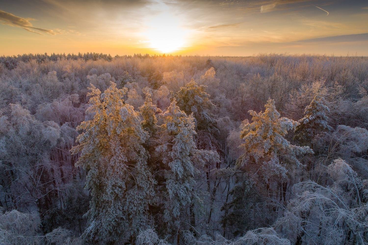 , Тябин Владислав