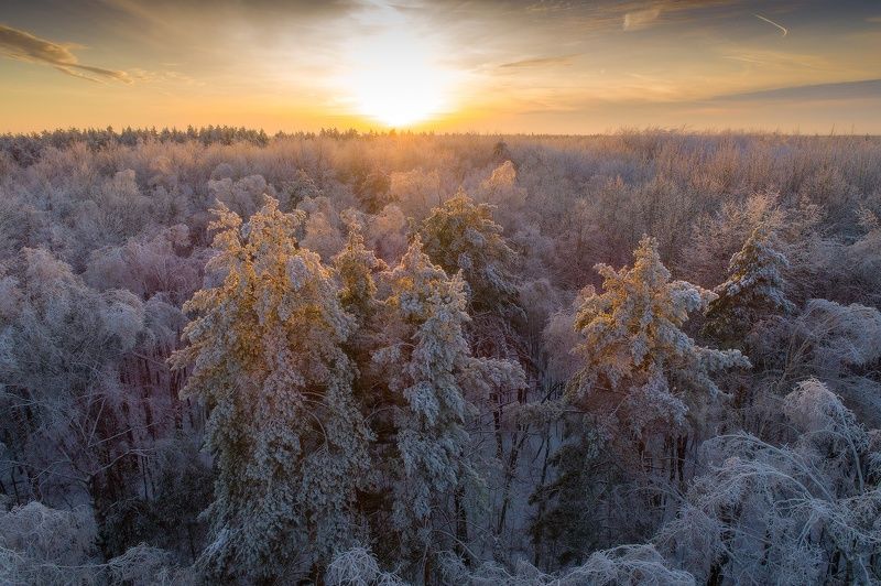 Морозным днём фото превью