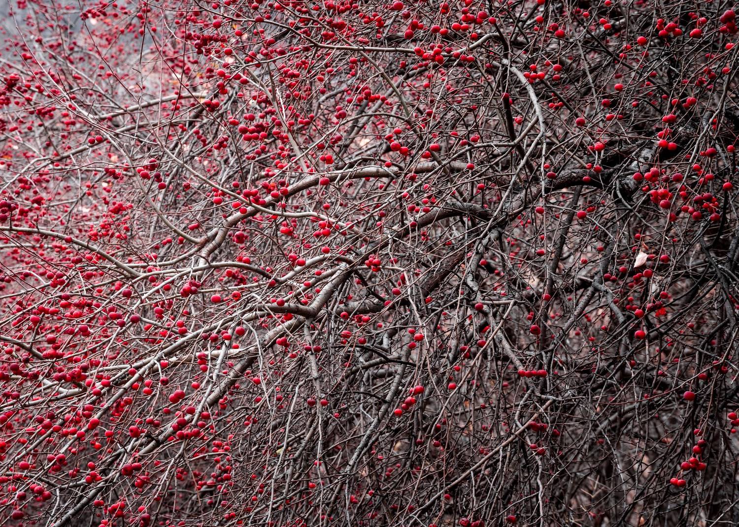 , Евгений Важенин