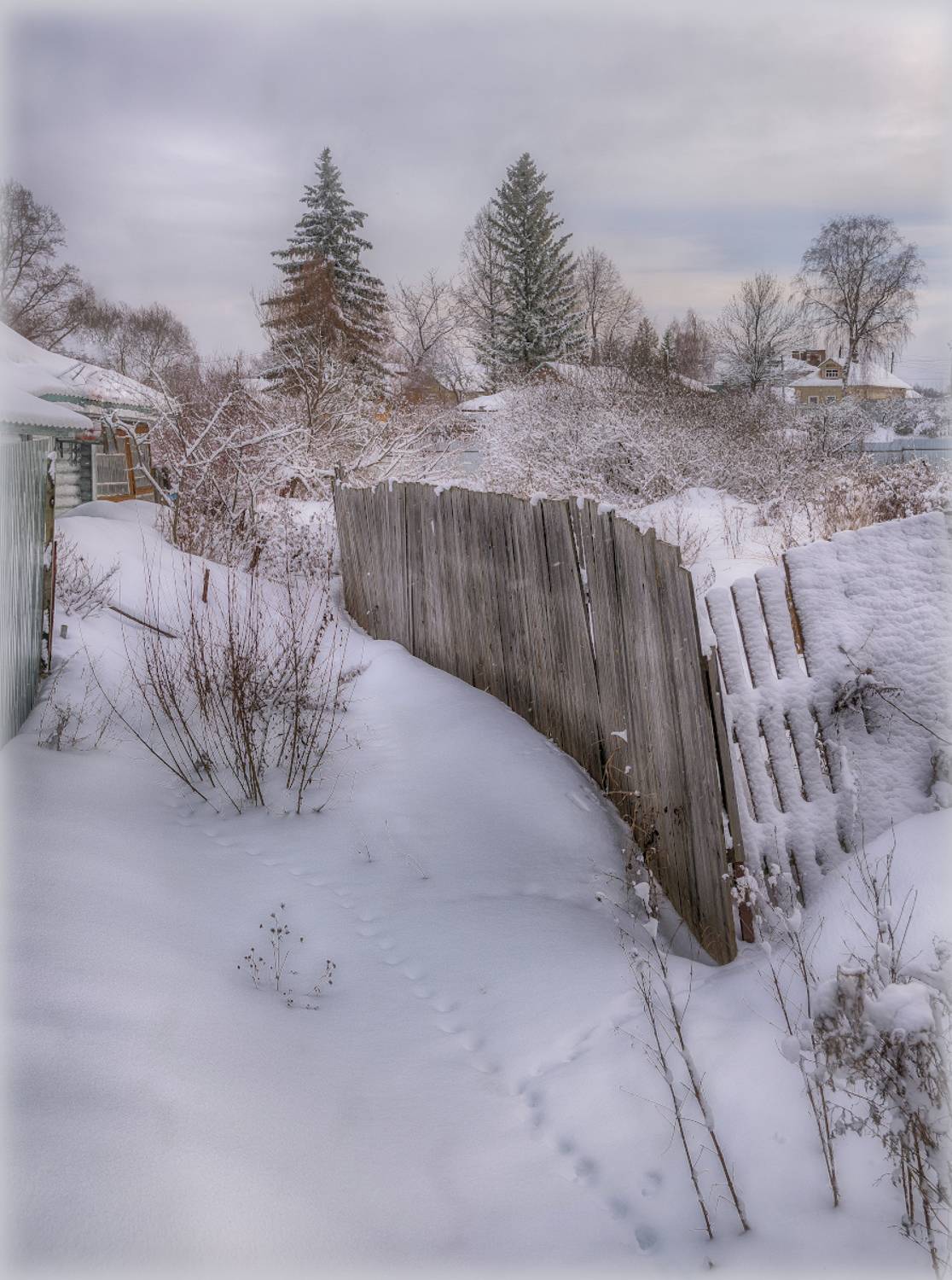 деревня. зима, снег, иней, фрагмент, Сергей Аникин