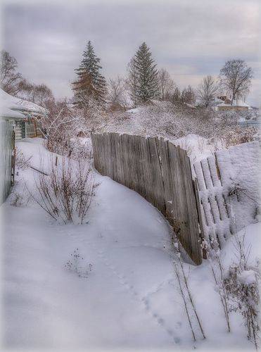Старый забор, или фрагмент деревенского быта